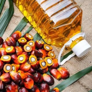 Palm Oil